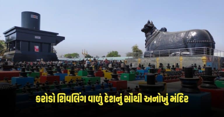 Lok Sabha Election : સુરતમાંથી બિનહરીફ ચૂંટણી જીત્યા બાદ ભાજપના ઉમેદવાર મુકેશ દલાલનું પ્રથમ નિવેદન સામે આવ્યું
