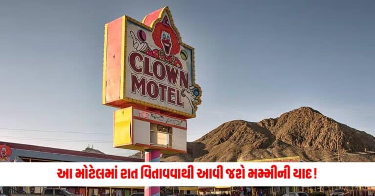 Ajab Gajab : આ મોટેલમાં રાત વિતાવવાથી આવી જશે મમ્મીની યાદ! ભરેલું છે આ વસ્તુથી, નબળા હૃદય વાળા તો દૂર જ રહેજો