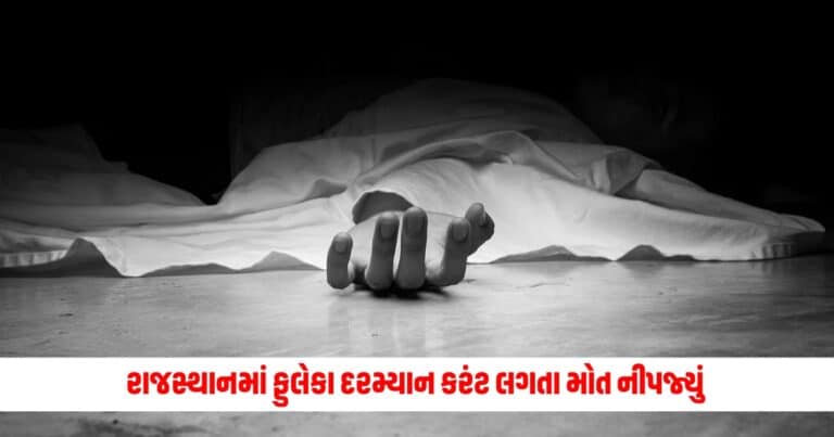 Gujarat Fire Accident: રાજસ્થાનમાં ડીજે લઈને જઈ રહ્યું હતું ફુલેકુ, અચાનક લાગ્યો કરંટ ઘટના માં થયું એક મોત