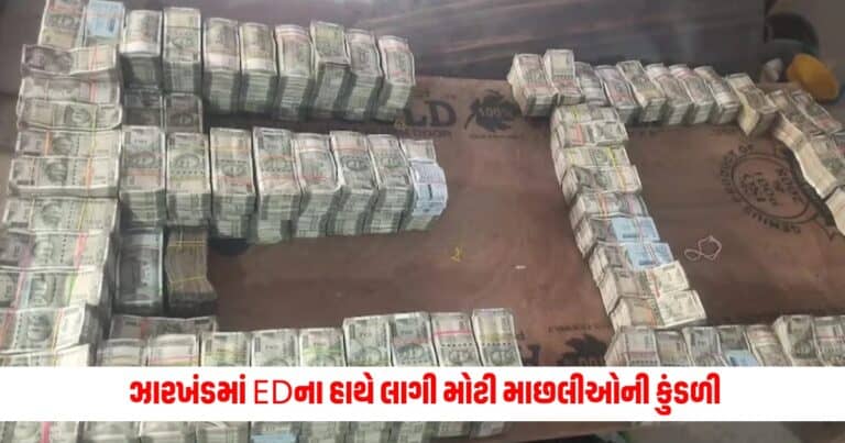 Jharkhand ED : ઝારખંડમાં EDના હાથે લાગી મોટી માછલીઓની કુંડળી, ખુલી રહ્યા છે એક પછી રહસ્યો