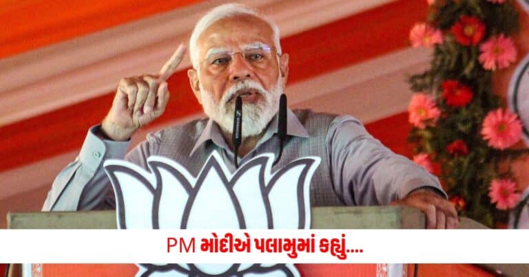Lok Sabha Election 2024: 'સર્જિકલ સ્ટ્રાઈક અને એરસ્ટ્રાઈકની થપ્પડથી પાકિસ્તાન હચમચી ગયું', PM મોદીએ પલામુમાં કહ્યું