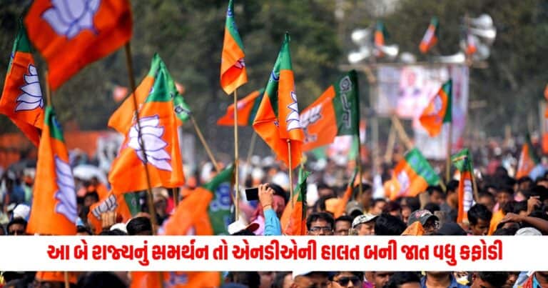 Election : દક્ષિણમાં જો ના મળ્યું હોત આ બે રાજ્યનું સમર્થન તો એનડીએની હાલત બની જાત વધુ કફોડી, જાણો કેવી રીતે બચાવી લાજ?