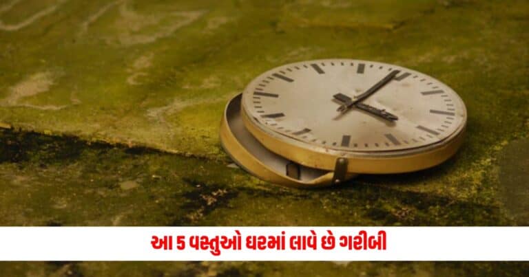 Astrology : આ 5 વસ્તુઓ ઘરમાં લાવે છે ગરીબી