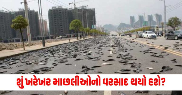 Offbeat News, fish-Rain, god-gift, Monsoon, miracle, માછલીનો વરસાદ,