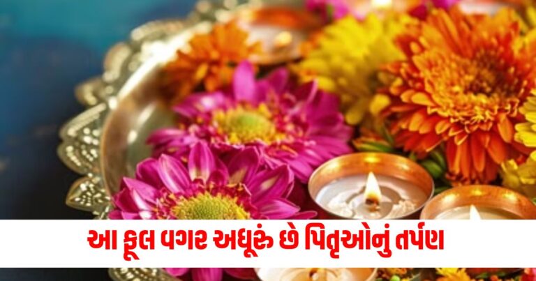 Pitru Paksha 2024, પિતૃ પક્ષ