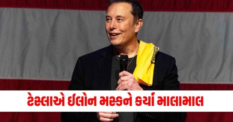 ઈલોન મસ્કે, tesla share price tesla shares, elon musk news, elon musk net worth