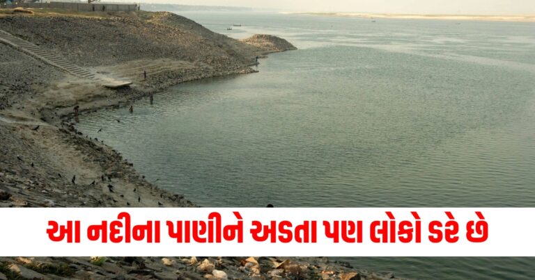 ભારત, Offbeat news,