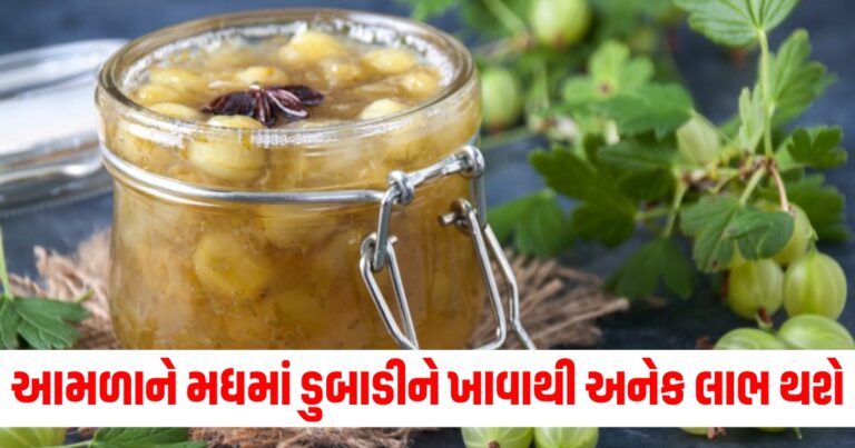 આમળાને મધમાં ડુબાડીને ખાવાથી સ્વાસ્થ્યને અનેક લાભ થશે, જાણો સેવનની સાચી રીત