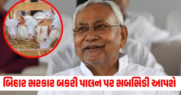બિહાર સરકાર બકરી પાલન પર 8 લાખની સબસિડી આપશે, જાણો કેવી રીતે મળશે સ્કીમનો લાભ
