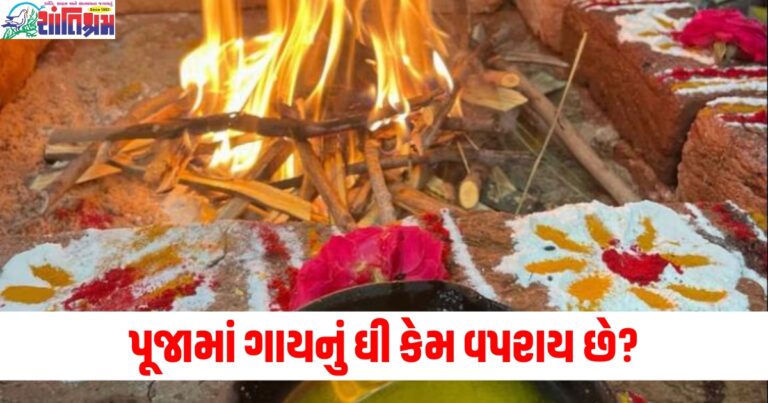પૂજામાં ગાયનું ઘી કેમ વપરાય છે, કઈ ગાયનું ઘી સૌથી શુદ્ધ છે?