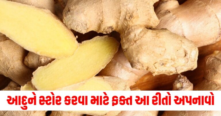 આદુને સ્ટોર કરવા માટે ફક્ત આ રીતો અપનાવો, તે ઘણા દિવસો સુધી બગડે નહીં