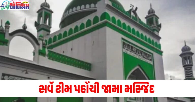 સર્વે ટીમ પહોંચી જામા મસ્જિદ, સંભલ પોલીસ છાવણીમાં ફેરવાયું, શું છે સમગ્ર મામલો?