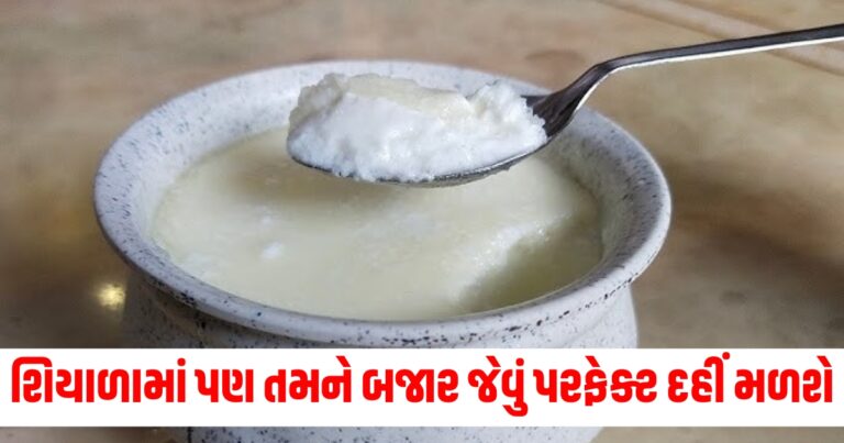 શિયાળામાં પણ તમને બજાર જેવું પરફેક્ટ દહીં મળશે, દૂધ ઉમેરતા પહેલા ઉમેરો આ વસ્તુ