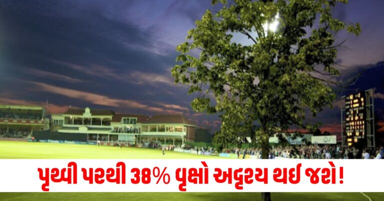 Maharashtra Elections, Jharkhand Elections, Election Survey, Seat Predictions, Political Party Seats, Election Results Forecast, Maharashtra-Jharkhand Polls, Polling Data, Parties Performance, Election Analysis,