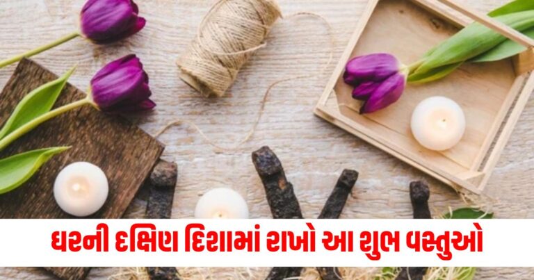 ઘરની દક્ષિણ દિશામાં રાખો આ શુભ વસ્તુઓ, જીવનમાં ક્યારેય પૈસાની કમી નહીં આવે.