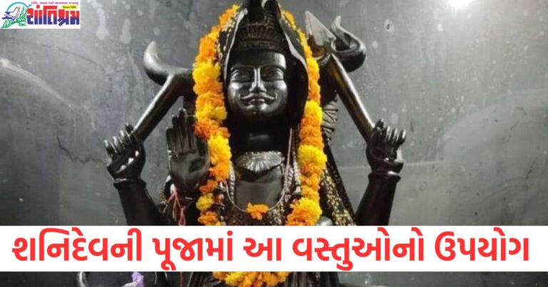શનિદેવ, (Shani Dev), પૂજા, (Pooja), ભૂલ, (Mistake), ઉપયોગ, (Use), વસ્તુઓ, (Things), ભોગવવા પડશે, (Will Suffer),
